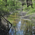 &lt;!--:en--&gt;Cost-Benefit Analysis of the Hungarian Nutrient Reduction Project&lt;!--:--&gt;&lt;!--:hu--&gt;GEF Tápanyag-csökkentési Projekt hatásértékelés&lt;!--:--&gt;