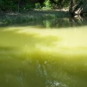 &lt;!--:en--&gt;Cost-Benefit Analysis of the Hungarian Nutrient Reduction Project&lt;!--:--&gt;&lt;!--:hu--&gt;GEF Tápanyag-csökkentési Projekt hatásértékelés&lt;!--:--&gt;
