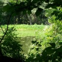 &lt;!--:en--&gt;Cost-Benefit Analysis of the Hungarian Nutrient Reduction Project&lt;!--:--&gt;&lt;!--:hu--&gt;GEF Tápanyag-csökkentési Projekt hatásértékelés&lt;!--:--&gt;