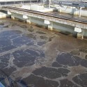 &lt;!--:en--&gt;Cost-Benefit Analysis of the Hungarian Nutrient Reduction Project&lt;!--:--&gt;&lt;!--:hu--&gt;GEF Tápanyag-csökkentési Projekt hatásértékelés&lt;!--:--&gt;