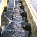 &lt;!--:en--&gt;Cost-Benefit Analysis of the Hungarian Nutrient Reduction Project&lt;!--:--&gt;&lt;!--:hu--&gt;GEF Tápanyag-csökkentési Projekt hatásértékelés&lt;!--:--&gt;