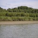 &lt;!--:en--&gt;Cost-Benefit Analysis of the Hungarian Nutrient Reduction Project&lt;!--:--&gt;&lt;!--:hu--&gt;GEF Tápanyag-csökkentési Projekt hatásértékelés&lt;!--:--&gt;