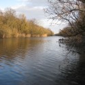 &lt;!--:en--&gt;Cost-Benefit Analysis of the Hungarian Nutrient Reduction Project&lt;!--:--&gt;&lt;!--:hu--&gt;GEF Tápanyag-csökkentési Projekt hatásértékelés&lt;!--:--&gt;