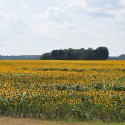 <!--:en-->Revitalization of the Cún-Szaporca Oxbow System 2.<!--:--><!--:hu-->Cún-Szaporcai holtág revitalizációja 2.<!--:-->