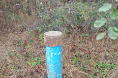 IMG_20241114_103837162