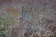 IMG_20241121_091013682_HDR